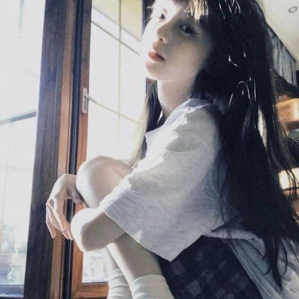 火之鸟772